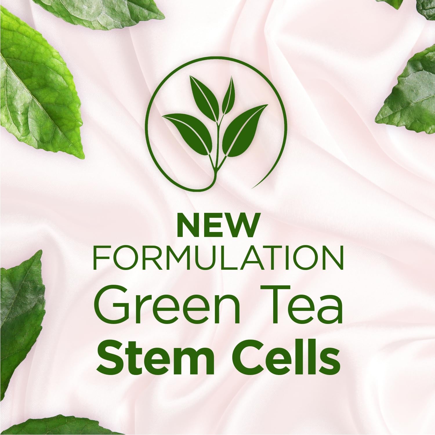 anti Wrinkle Face Cream, Face Moisturizer Infused with Green Tea Stem Cells, Helps Reduce Fine Line & Wrinkles, Face Cream for Women, Floral Scent, 7 Oz